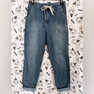 Judy Blue Airplane Joggers